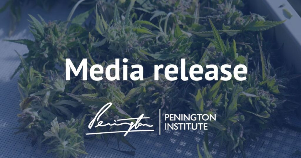 Media release, cannabis with blue overlay