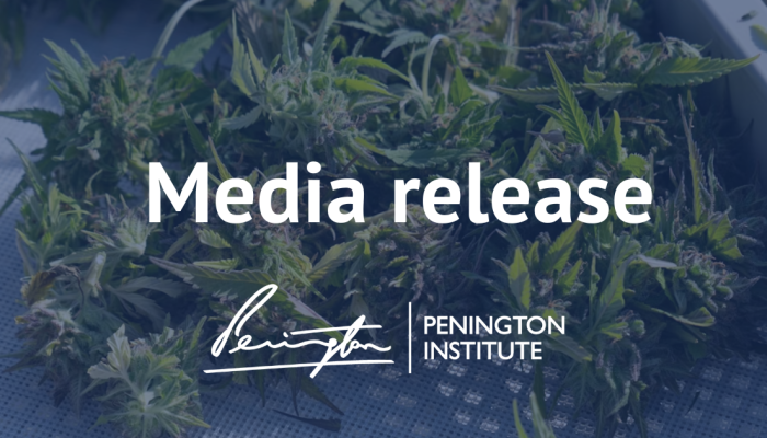 Media release text overlay on cannabis